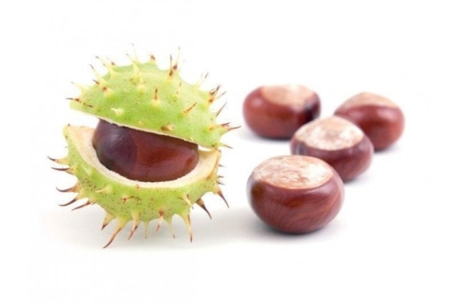 ano ang mga sangkap sa gemoris